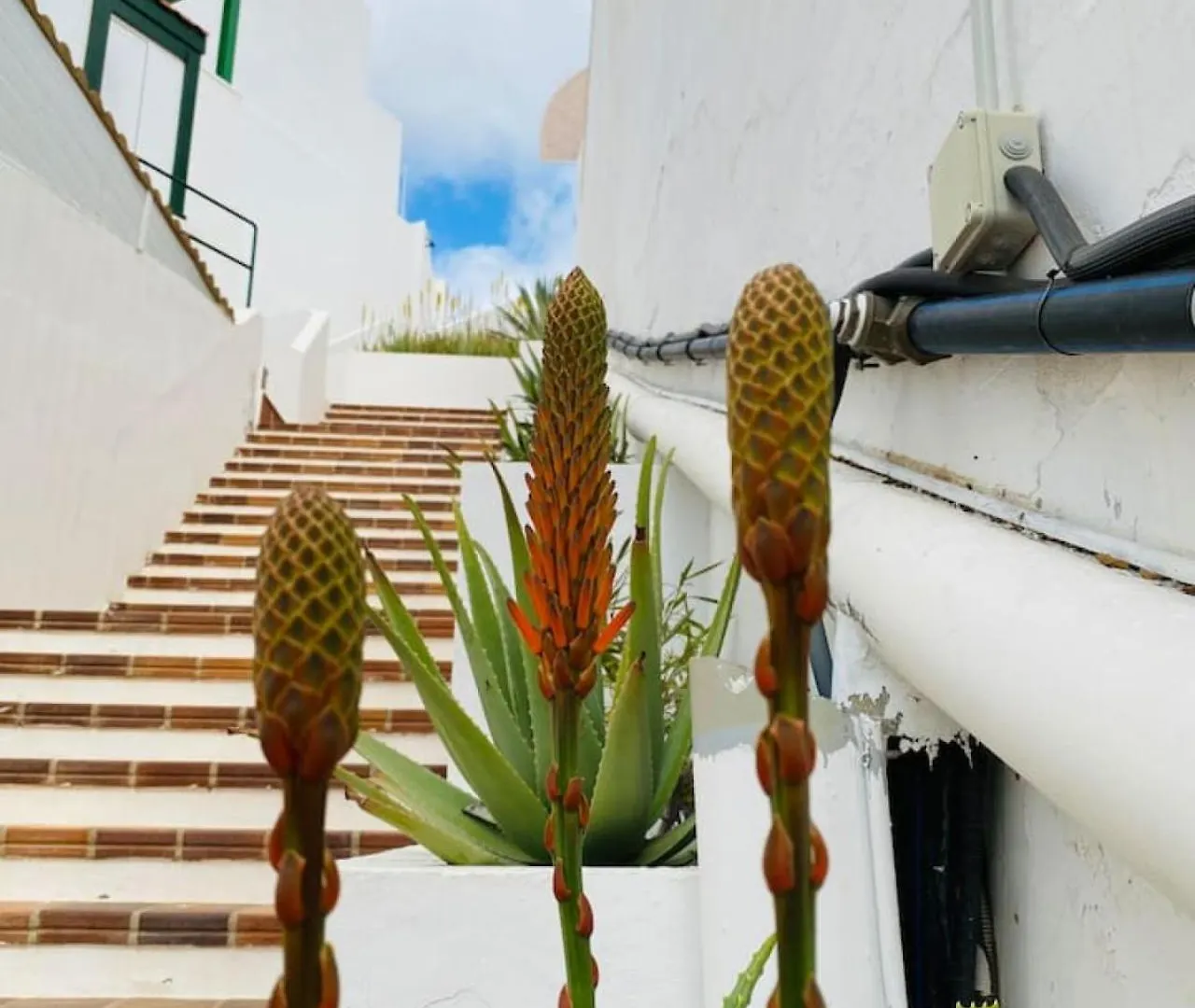 Tenerife 365 Atalaya Court I Sunset Ocean View Holiday home Costa Adeje (Tenerife)